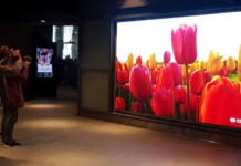 Амстердам – за «зеленую» рекламу