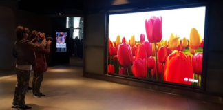 Амстердам – за «зеленую» рекламу