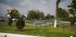 В Узбекистане на фоне незаконных сносов рекламных баннеров отменен мораторий