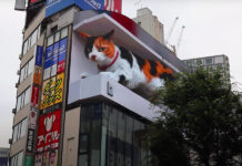 Возможности цифровой рекламы в Японии: 3D-кот появился на рекламном щите