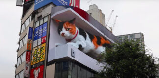 Возможности цифровой рекламы в Японии: 3D-кот появился на рекламном щите