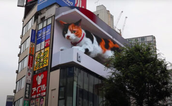 Возможности цифровой рекламы в Японии: 3D-кот появился на рекламном щите