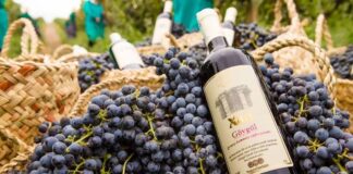 В Узбекистане озвучили прогноз по развитию производства вин