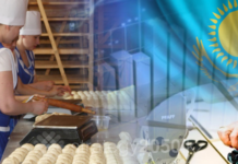 Поддержка казахстанского бизнеса: какие меры предпринимает правительство?