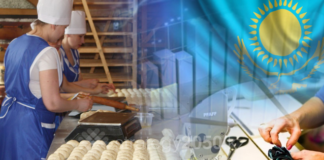 Поддержка казахстанского бизнеса: какие меры предпринимает правительство?