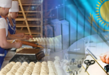 На поддержку бизнеса в Казахстане выделят более 1,2 трлн тенге