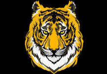 Образ туранского тигра стал основой дизайна казахстанского продукта