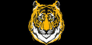 Образ туранского тигра стал основой дизайна казахстанского продукта