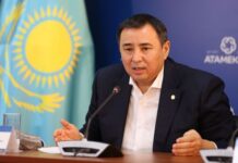 «Атамекен» представил концепцию цифровой экосистемы для бизнеса