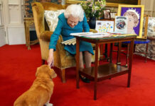 Елизавета II теперь продает парфюм для собак