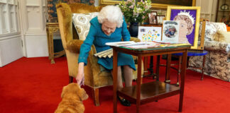 Елизавета II теперь продает парфюм для собак