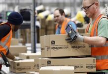 Казахстан предложил создать «Центральноазиатский AMAZON»