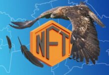 Казахстанские разработчики создали NFT-проект для сохранения беркутов
