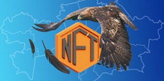 Казахстанские разработчики создали NFT-проект для сохранения беркутов