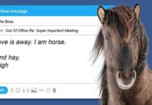 Visit Iceland в новой рекламе рассказала об уникальном сервисе