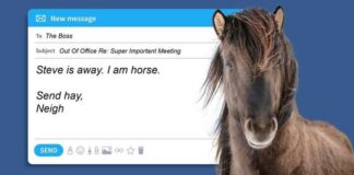 Visit Iceland в новой рекламе рассказала об уникальном сервисе