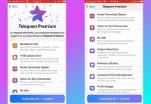 В Telegram появится премиум-подписка