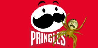 Pringles запустила петицию, чтобы назвать паука в честь своего бренда