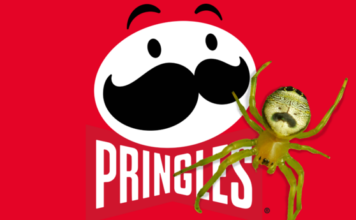 Pringles запустила петицию, чтобы назвать паука в честь своего бренда