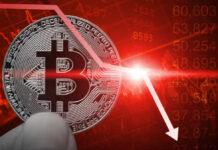 Нассим Талеб прогнозирует ледниковый период на крипторынке