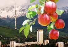 Куда сходить в Алматы на День города