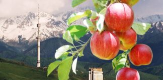 Куда сходить в Алматы на День города