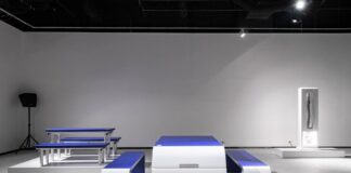 Air Astana и Esentai Gallery проводят в Алматы уникальную выставку