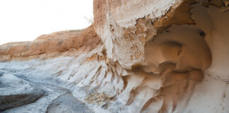 В Казахстане проходит фотоконкурс в рамках популяризации природных парков