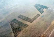 В Алматы появится уникальный сад-реклама