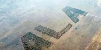 В Алматы появится уникальный сад-реклама