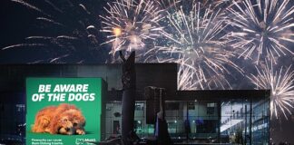 В Финляндии в преддверии Нового года подготовили рекламу в защиту собак