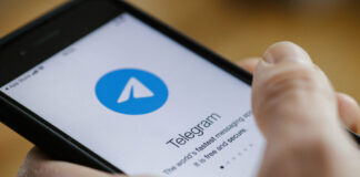 Узбекистан занимает второе место в мире по количеству каналов и их аудитории в Telegram