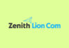 Zenith Lion Com ищет медиадиректора и медийного стратега