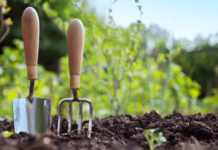 AliExpress: как казахстанцы готовятся к дачному сезону