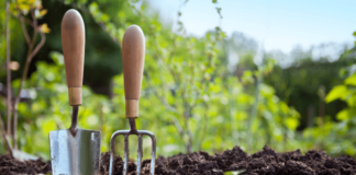 AliExpress: как казахстанцы готовятся к дачному сезону