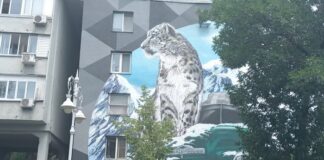 В Алматы восстановили мурал со снежным барсом