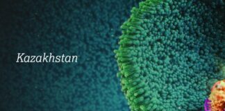 АстраЗенека планирует вывести на рынок Казахстана более 15 новых продуктов