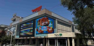 Кейс Mondelēz в Казахстане: мишка Барни общается с прохожими в Алматы