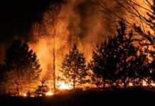 Beeline Казахстан предоставит бесплатную связь в зоне ЧС в Абайской области