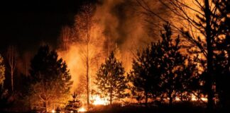 Beeline Казахстан предоставит бесплатную связь в зоне ЧС в Абайской области