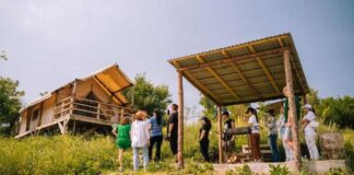 Глэмпинг становится драйвером туристической отрасли Казахстана