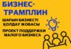 В Казахстане проходит голосование за лучший проект в конкурсе «Бизнес-трамплин» от Visa