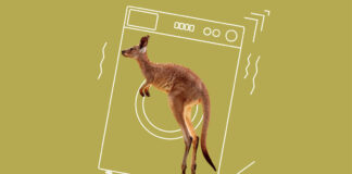 В Узбекистане выпустили рекламную кампанию, в рамках которой сравнивают стиральные машины с дикими животными