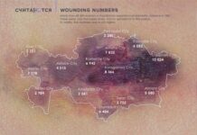 Кейс FCB Artgroup Almaty “Визуализация данных о домашнем насилии. Теперь вы видите»: как за сухими цифрами увидеть реальные судьбы