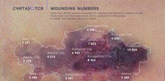 Кейс FCB Artgroup Almaty “Визуализация данных о домашнем насилии. Теперь вы видите»: как за сухими цифрами увидеть реальные судьбы