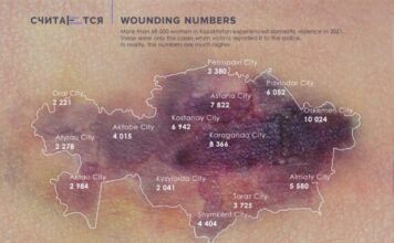 Кейс FCB Artgroup Almaty “Визуализация данных о домашнем насилии. Теперь вы видите»: как за сухими цифрами увидеть реальные судьбы