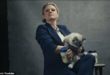 Суперкубок: Hellmann борется с пищевыми отходами с помощью говорящего кота