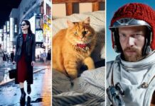 Ожидания от Sora — новой нейросети OpenAI