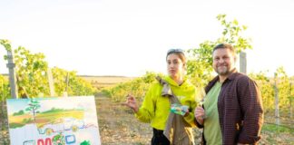 Как добиться высокого медийного охвата и вывести автомобильный тест-драйв на новый уровень. Кейс Logos Group