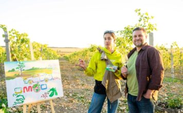 Как добиться высокого медийного охвата и вывести автомобильный тест-драйв на новый уровень. Кейс Logos Group